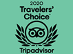2020 travelers choice