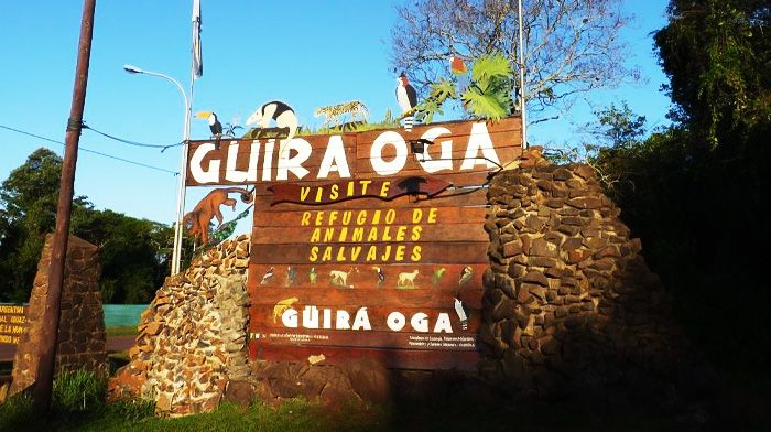 Guir Oga